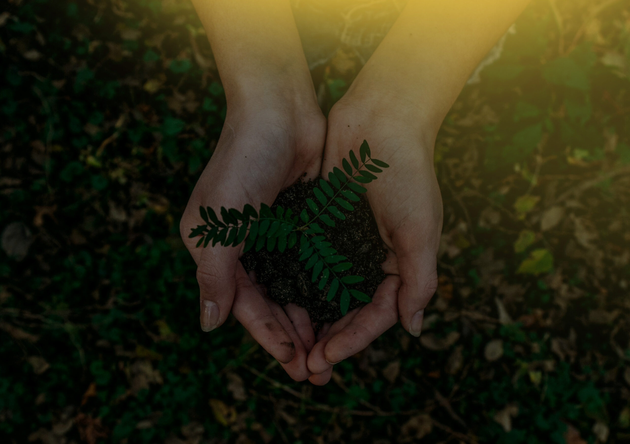Reman – A powerful voice for the environment